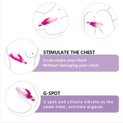 Skin Friendly Silicone Dildo Honey Sex Toys Rabbit Vibrator G Spot SGS Approved