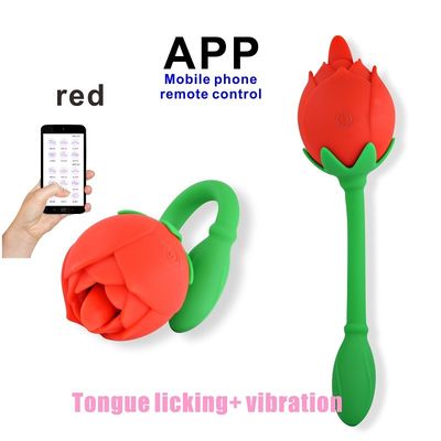 Nipple Sucking Vibrator Sex Toy APP control 45dB low noise Vibrating Egg