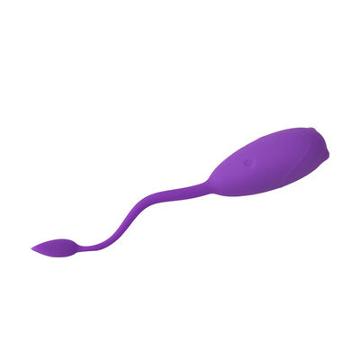 10 Speed Vibrating Womens Sex Toys Remote Control Jumping Egg IPX7